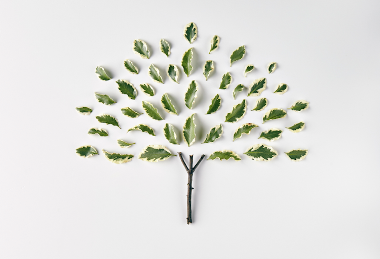 რა განსხვავებაა შფოთვას და ნერვიულობას შორის და რა შემთხვევაში ხდება შფოთვა პრობლემა?